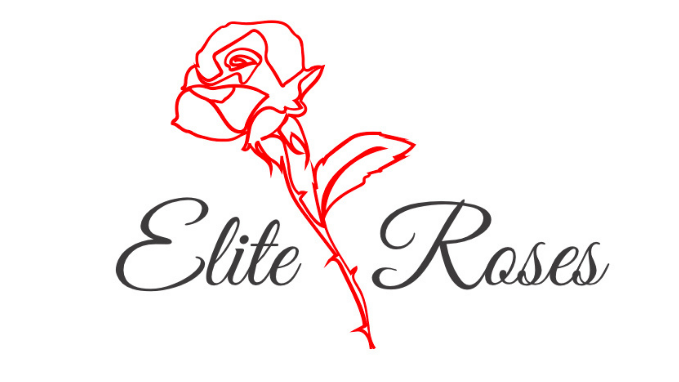 Elite Roses